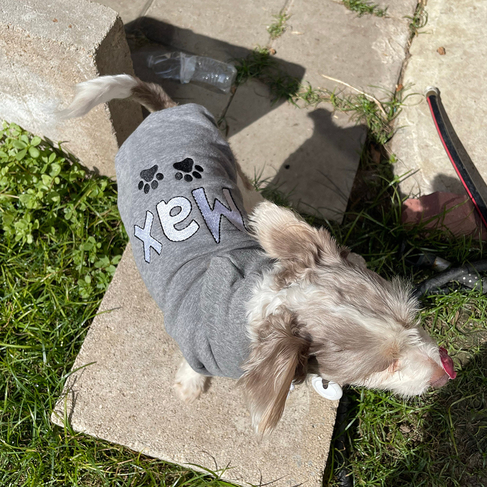Personalized Warm Puppy Hoodie for Comfort & Unique | BKPet22