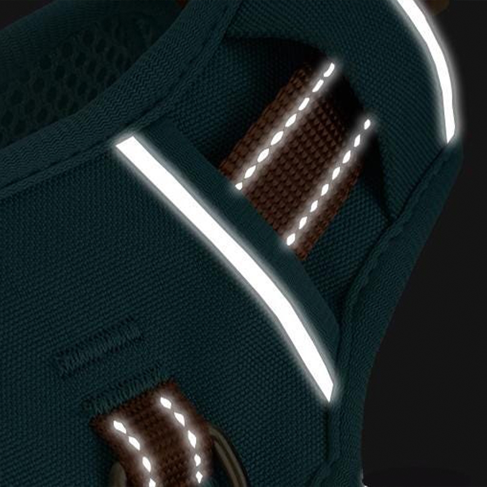 Personalized Night Reflective Luxury Puppy Harness | BKPet237