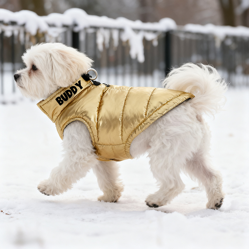 Personalized Pet Winter Warm Windproof Puffer Jacket | BKPet266