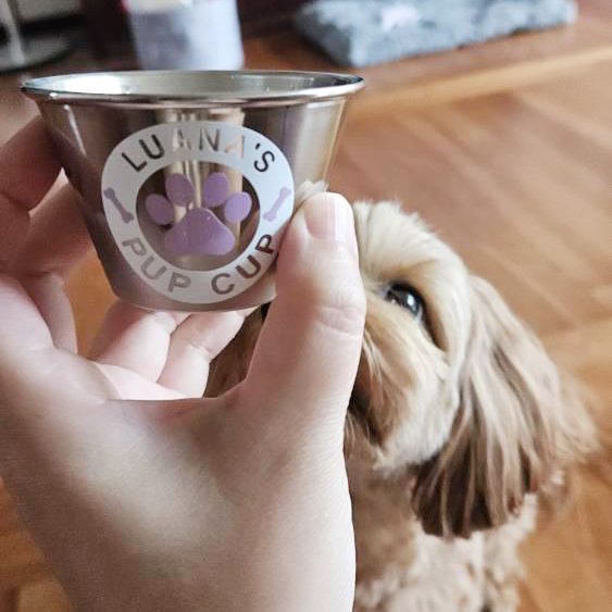 Personalized Pet Stainless Steel Reusable Mini Pup Cup Mug | BKPet273
