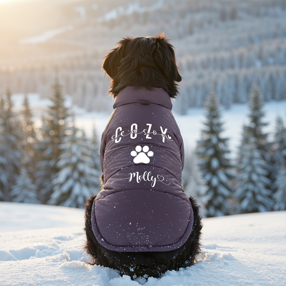 Personalized Pet Winter Warm Windproof Large Puffer Jacket | BKPet279