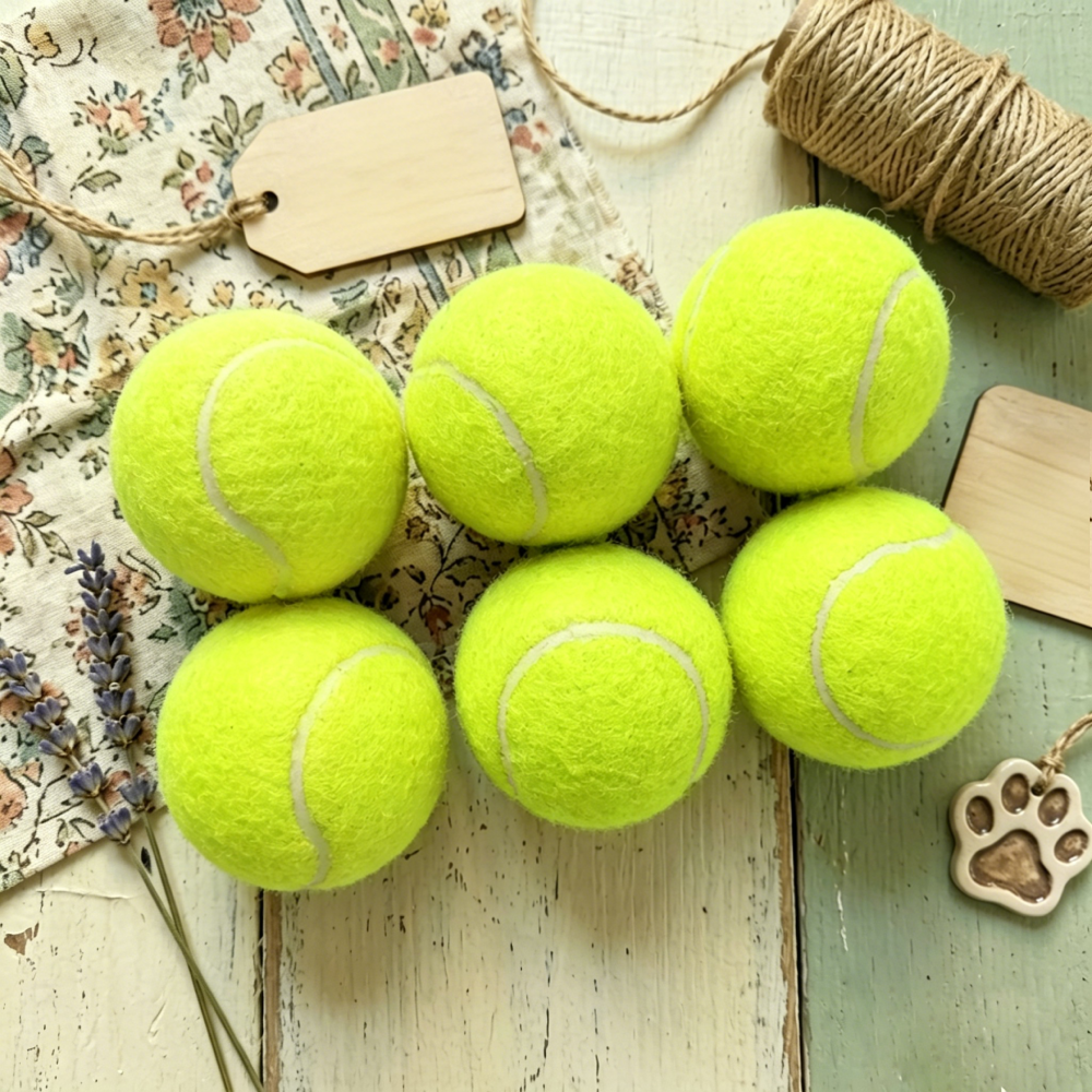 Personalized Dog Tennis Ball With Name | MNToy27