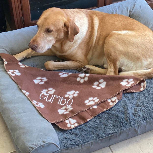 Personalized Warm Pet Blanket for Comfort & Unique | BKPet40