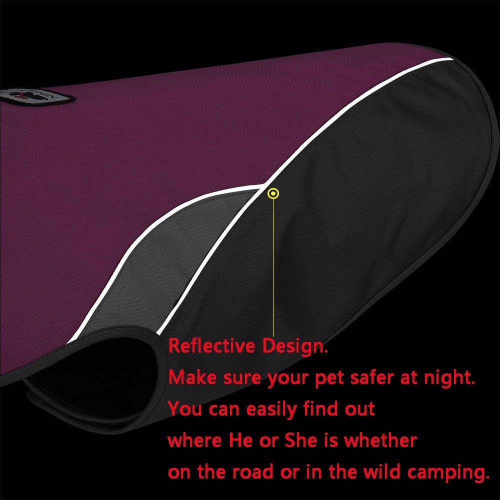 Personalized Pet Outdoor Windproof Vest | BKPet347