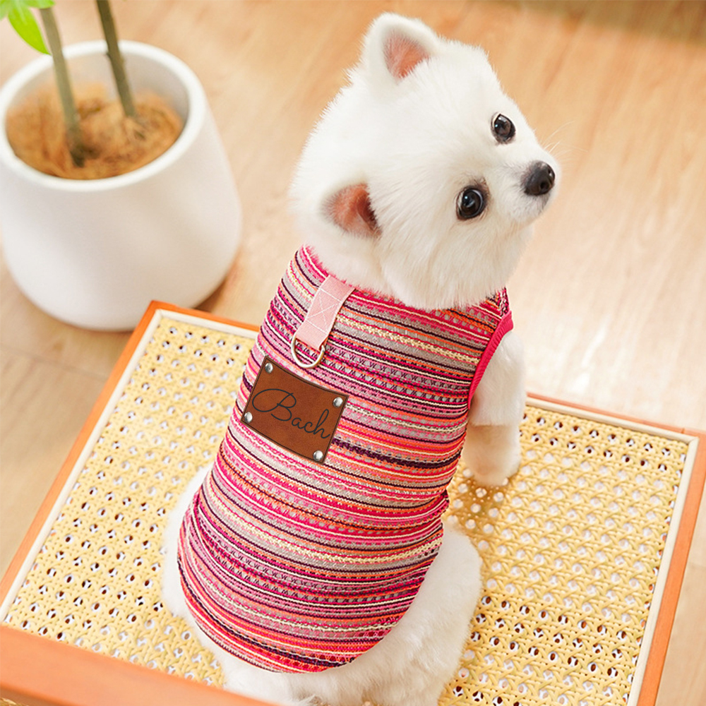 Personalized Breathable Pet Summer Cool Mesh Vest | BKPet191