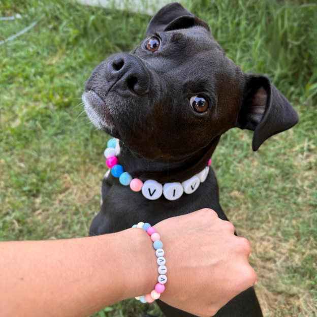 Personalized Handmade Beaded Pet Collar And Bracelet | BKPet213