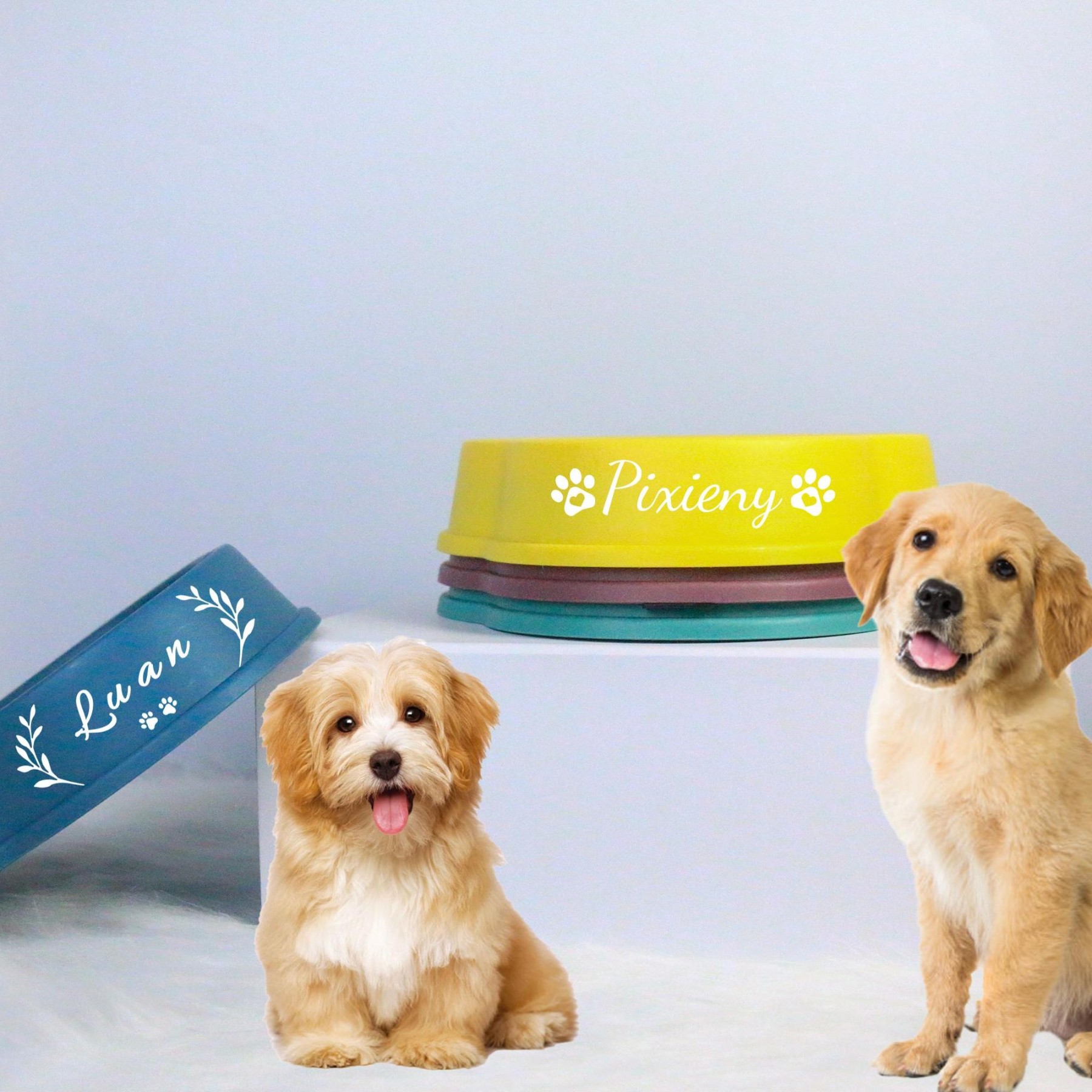 Personalized Anti-Choking Slow Feeder Pet Bowl | BKPet94