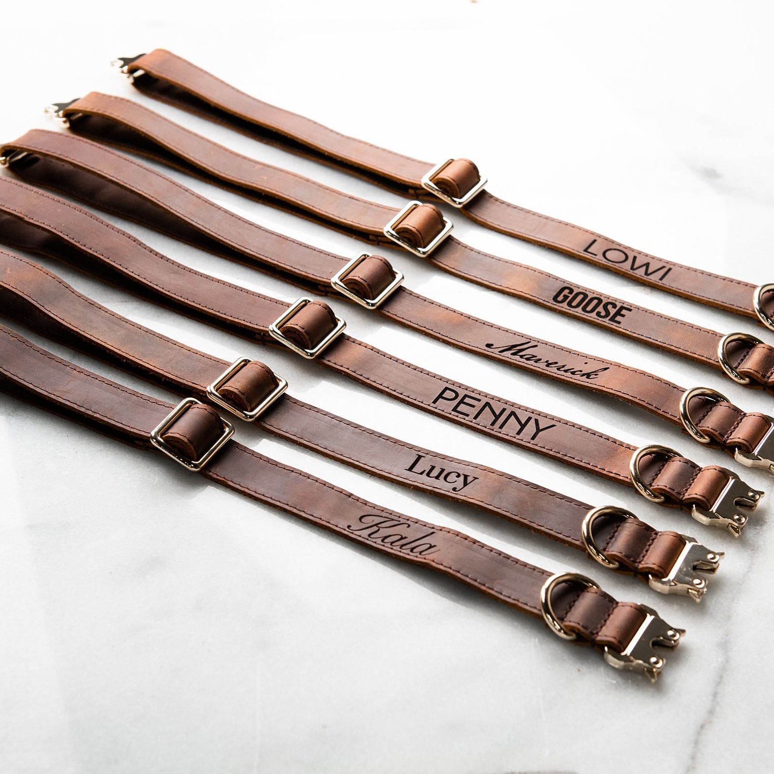 Personalized Name or Information Leather Pet Collar | BKPet151