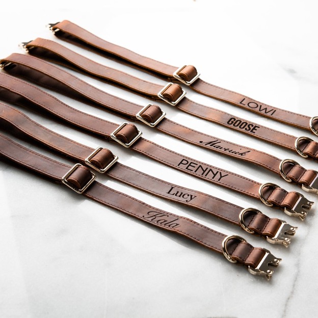 Personalized Name or Information Leather Pet Collar | BKPet151