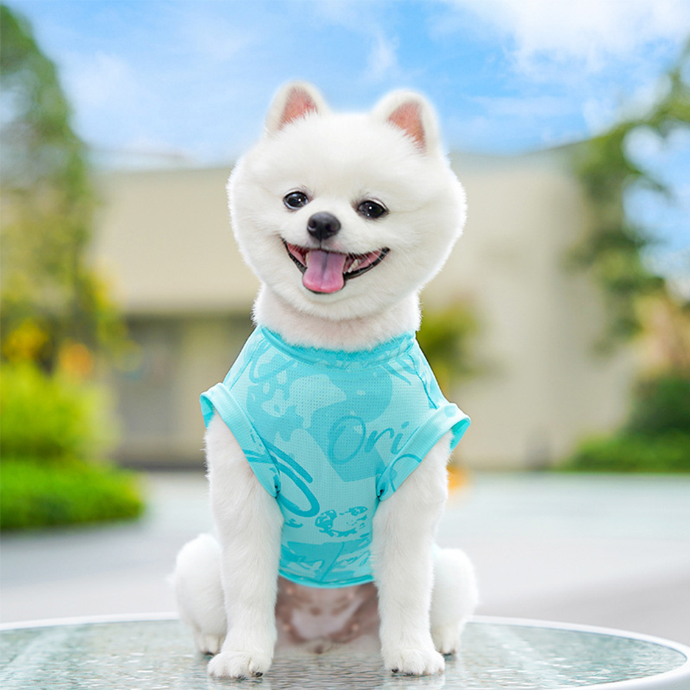 Personalized Breathable Pet Summer Cool Mesh Vest | BKPet192