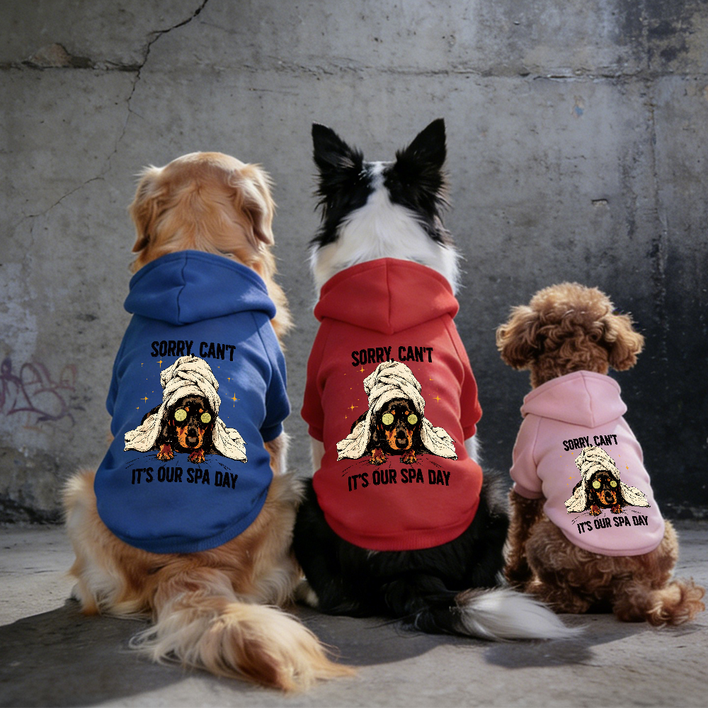 IT'S OUR SPA DAY Puppy Hoodie | BKPet339