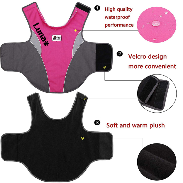 Personalized Pet Outdoor Windproof Vest | BKPet347