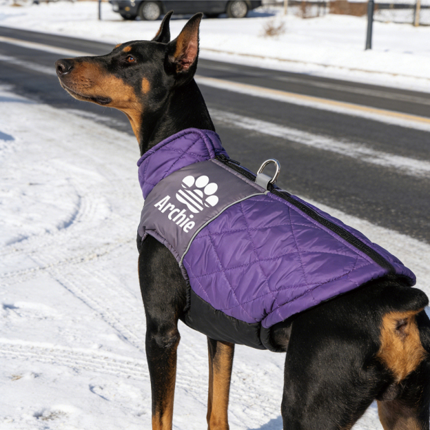 Personalized Pet Winter Warm Windproof Puffer Jacket | BKPet348