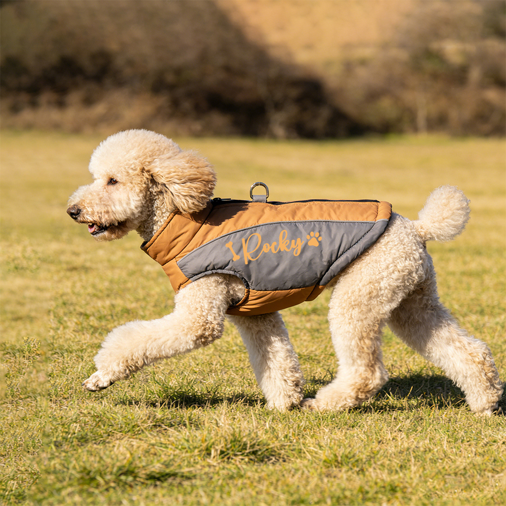 Personalized Pet Winter Warm Windproof Puffer Jacket | BKPet349