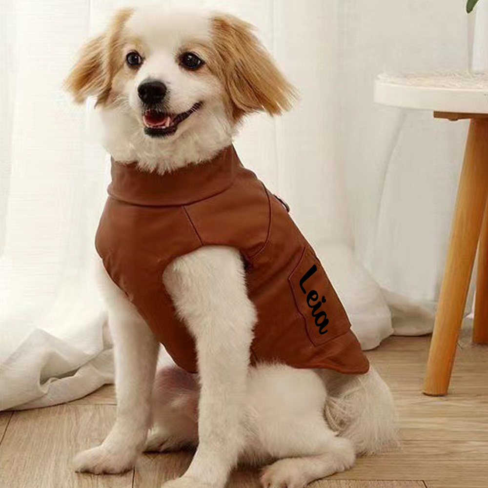 Personalized Pet Winter Warm Windproof Leather Jacket | BKPet361