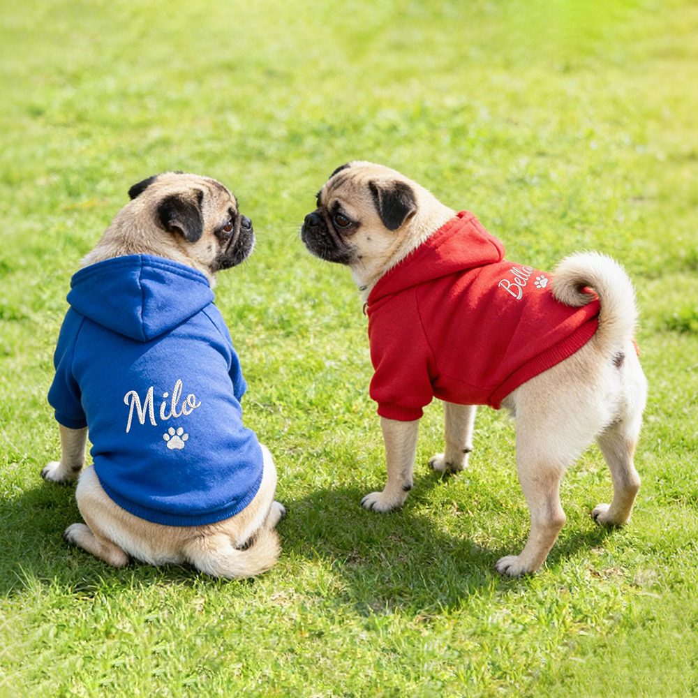 Personalized Embroidery Warm Soft Puppy Hoodie | BKPet362