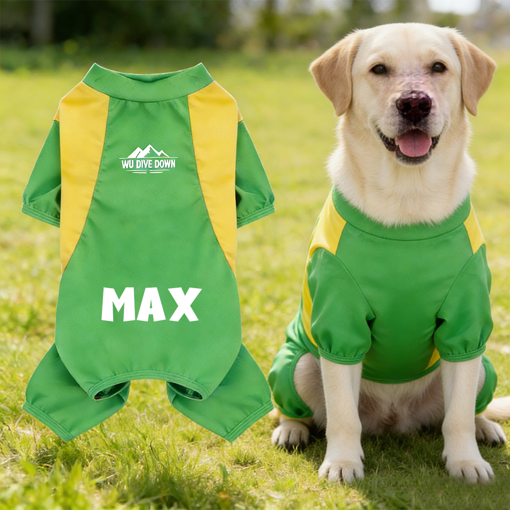 Personalized All-season Large Size  Puppy Shirt | BKPet413