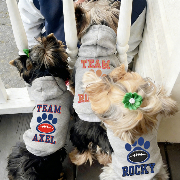 Personalized Football Team Pet Paw Soft Hoodie | BKPet427