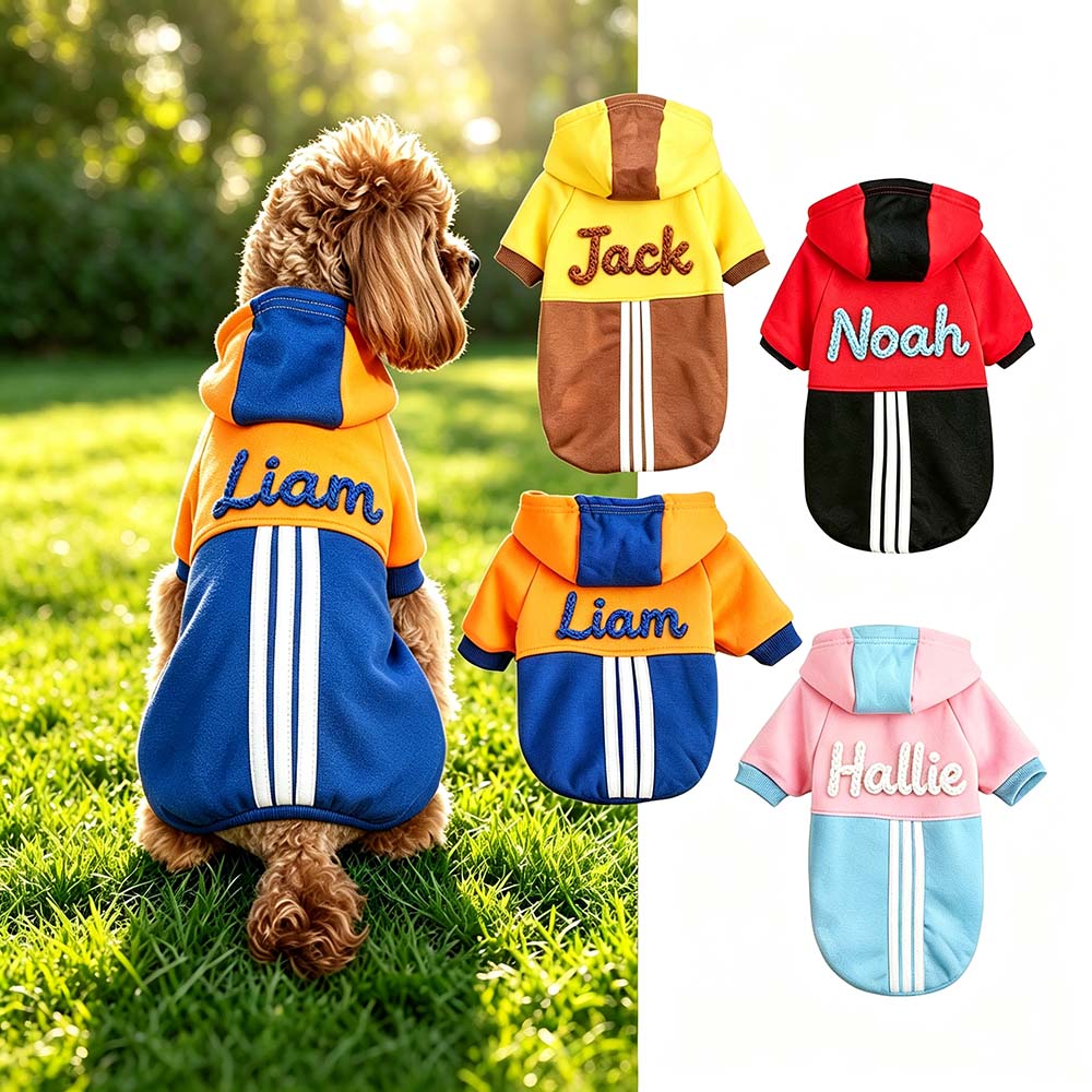 Personalized Hand Embroidered Color-blocked Hooded Pet Sweatshirt | BKPet577