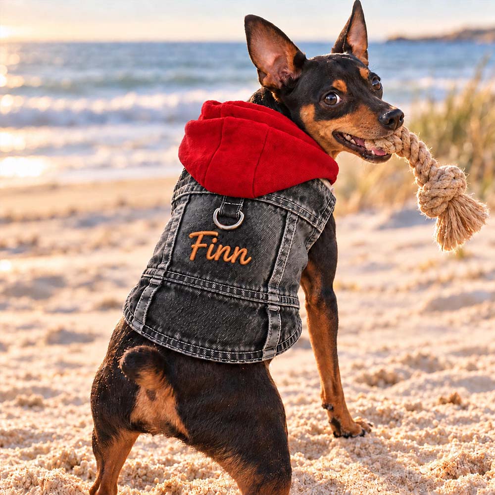Personalized Embroidered Denim Pets Hoodie Vest | BKPet635