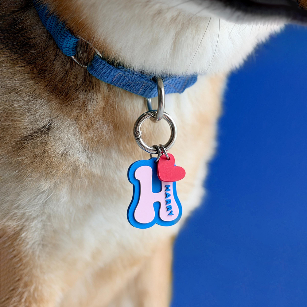 Personalized 3D Printed Initial Pet ID Tag | MNAccs132