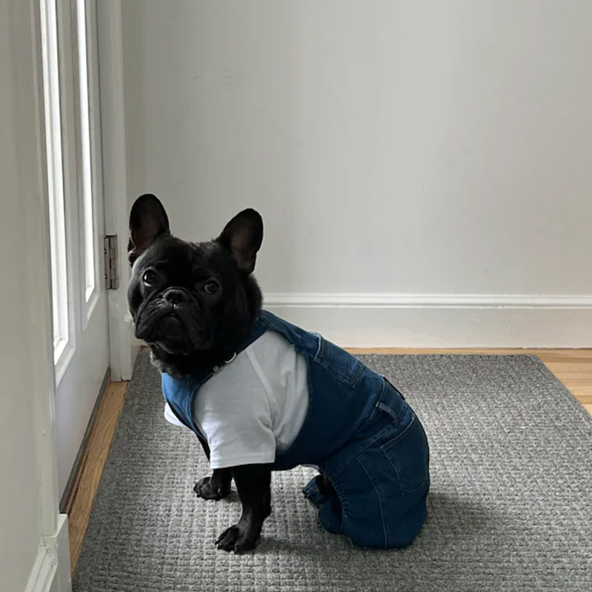 Personalized Leather Patch Pets Classic Overall Dungarees | BKPet56