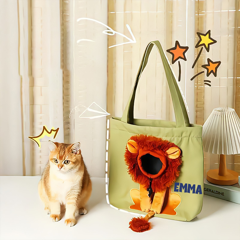 Personalized Lion Design Portable Breathable Cute Pet Carriers | BKPet60