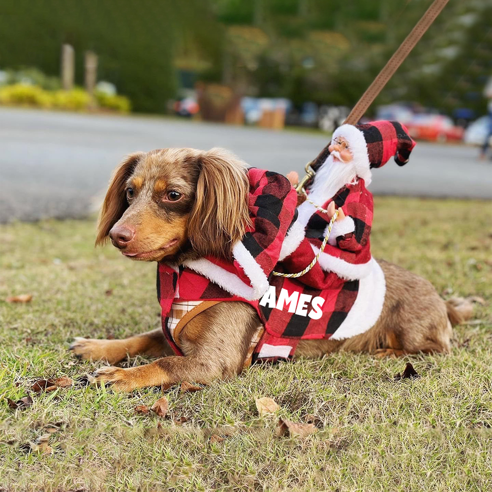 Personalized Christmas Santa Pet Riding Clothes | BKPet96