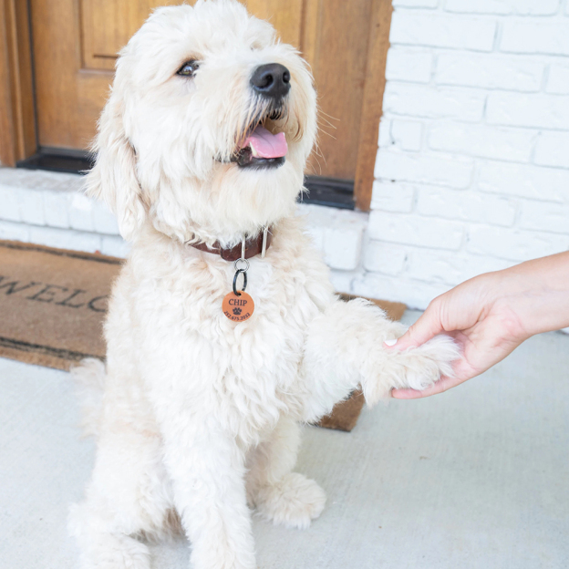 Personalized Handmade Silent Leather Pet ID Tag | BKPet145