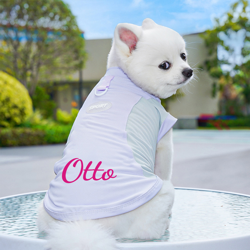 Personalized Pet Summer Cooling Quick-Drying Vest | BKPet155