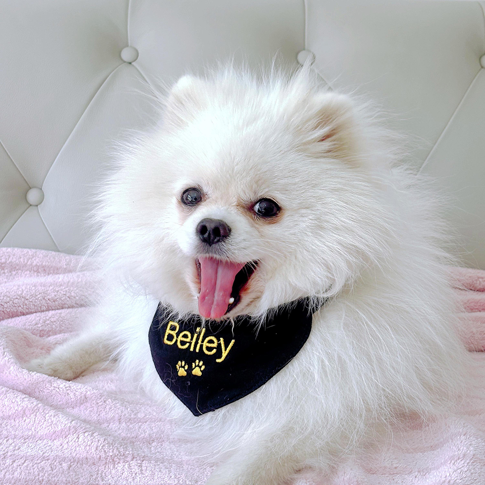 Personalized Embroidered Adjustable Dog Bandana | BKPet166