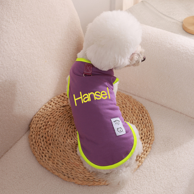 Personalized Colourful Pet Summer Cool Mesh Vest | BKPet173