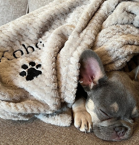 Personalized Embroidered Pet Soft Waffle Blanket | BKPet197