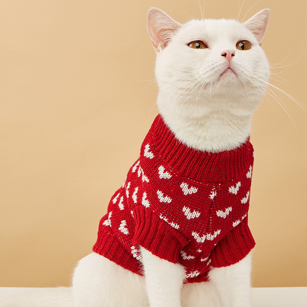 Personalized Leather Patch Pets Love Heart Sweater | BKPet201