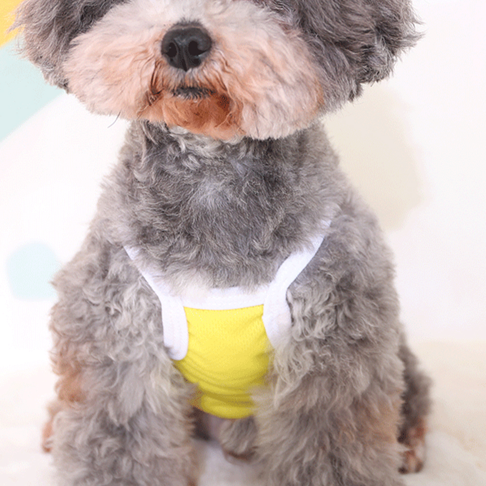 Personalized Cute Breathable Pet Summer Cool Mesh Vest | BKPet205