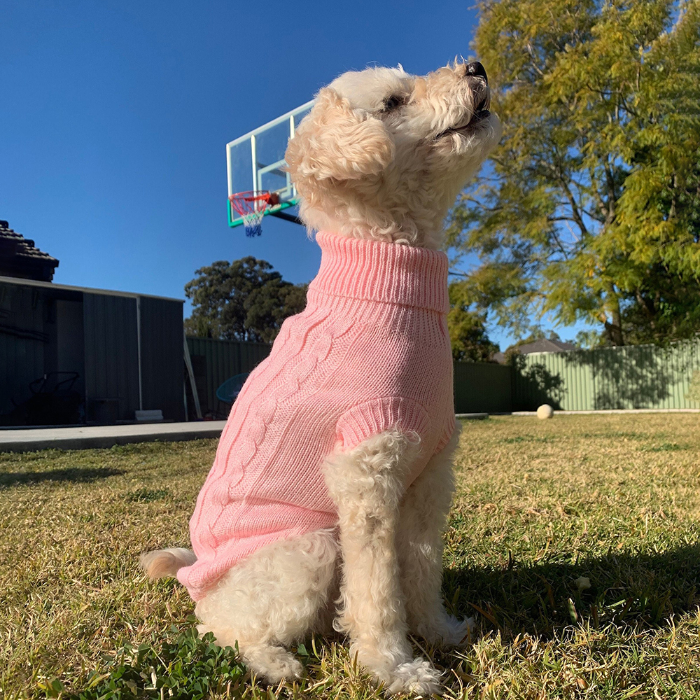 Personalized Hand Embroidery Pets Colourful Sweater | BKPet233