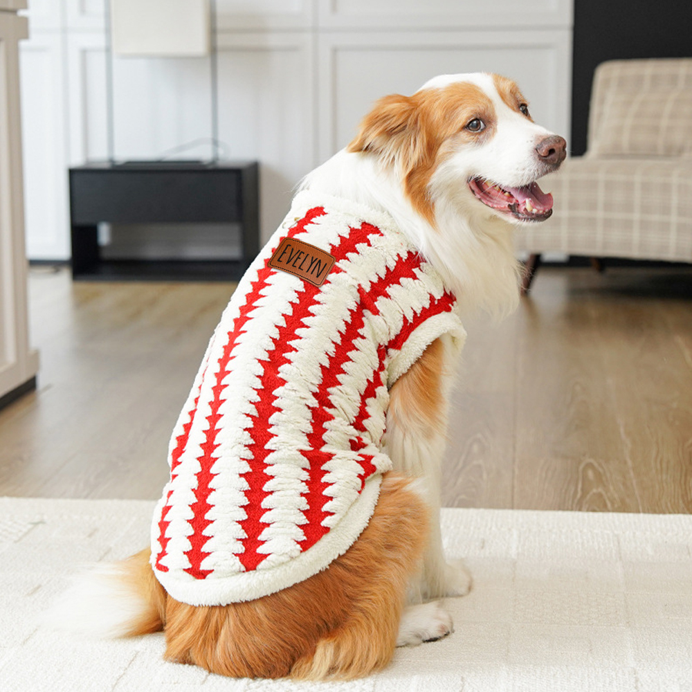 Personalized Leather Patch Warm Coral Fleece Dog Winter Coat | BKPet242