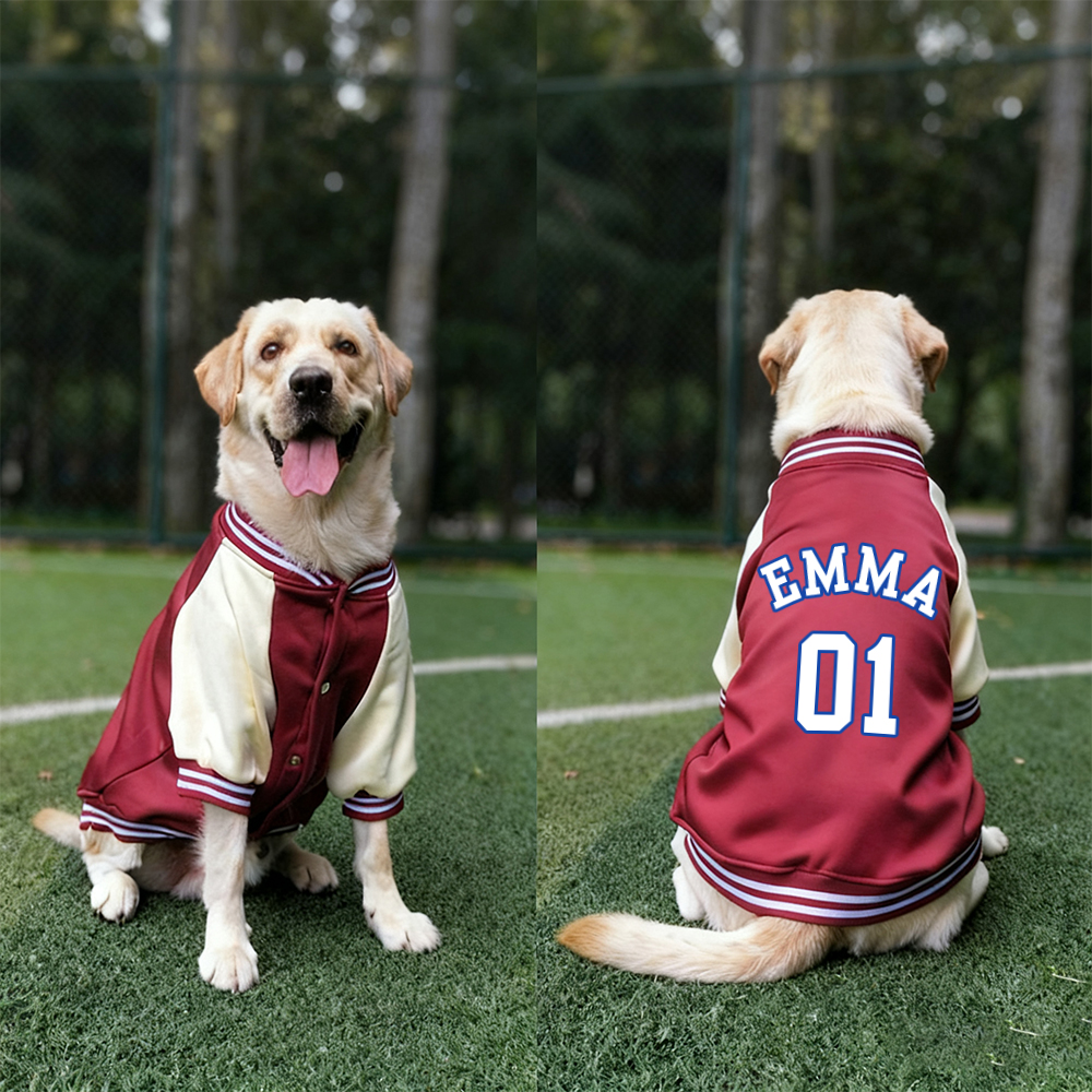 Personalized Pet Large Baseball Jacket | BKPet250