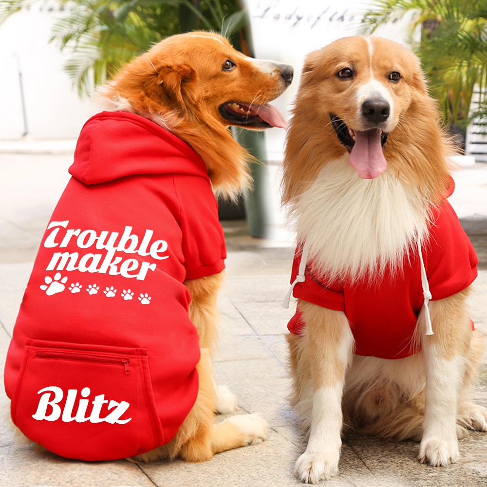 Personalized Warm Puppy Hoodie for Comfort & Unique | BKPet257
