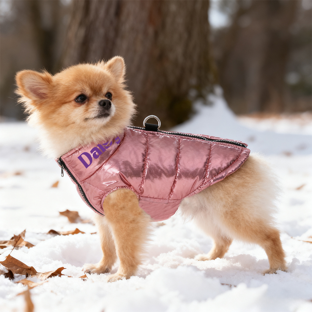 Personalized Pet Winter Warm Windproof Puffer Jacket | BKPet266