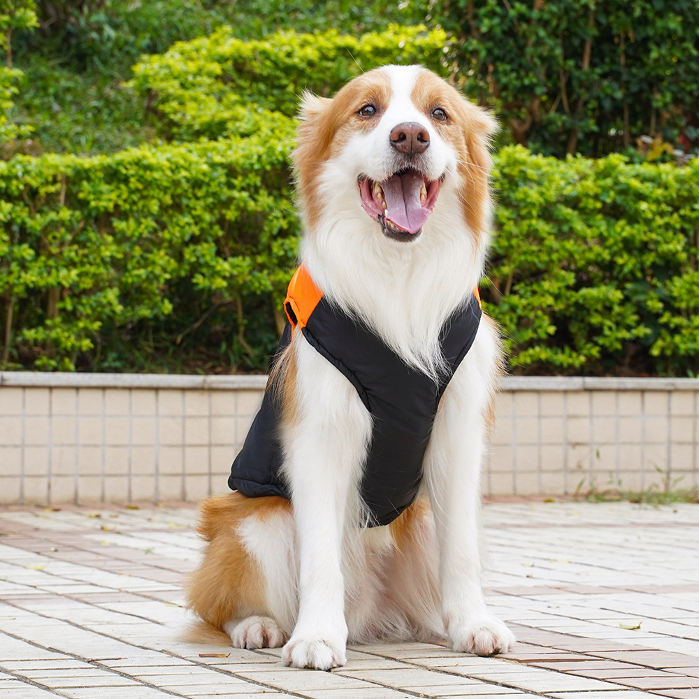 Personalized Pets Warm Puffer Vest | BKPet14701
