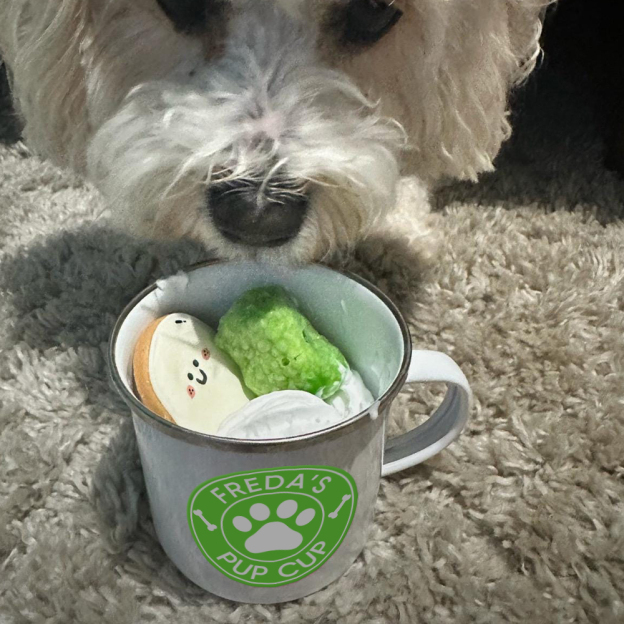 Personalised 12oz Pet Enamel Reusable Pup Cup Mug | BKPet280