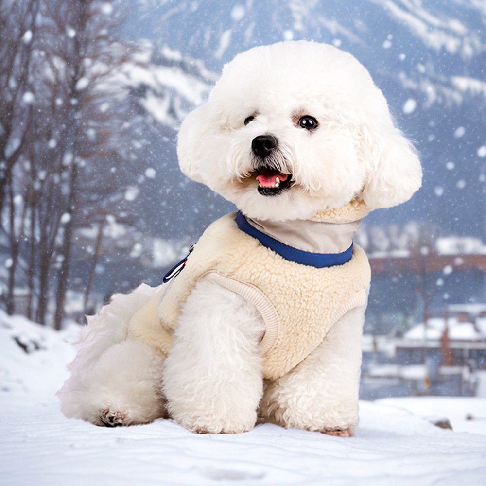 Personalized Leather Patch Pets Color Sweatshirts | BKPet275