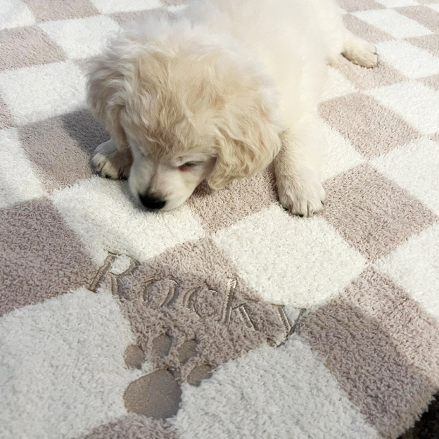 Personalized Embroidered Pet Checker Soft Blanket | BKPet301