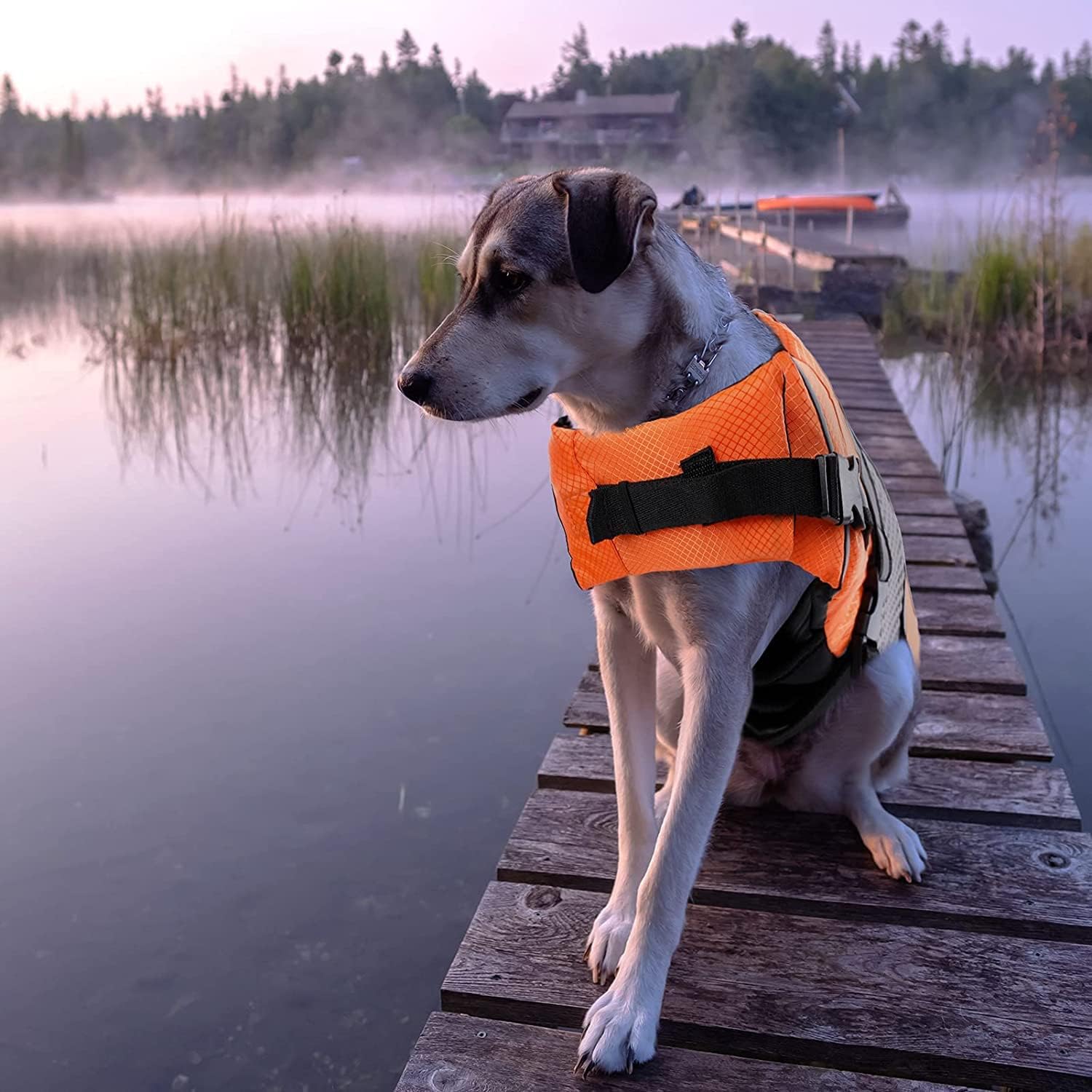 Personalized Pet Swimming Buoyancy Reflective Safety Shark Vest | BKPet406