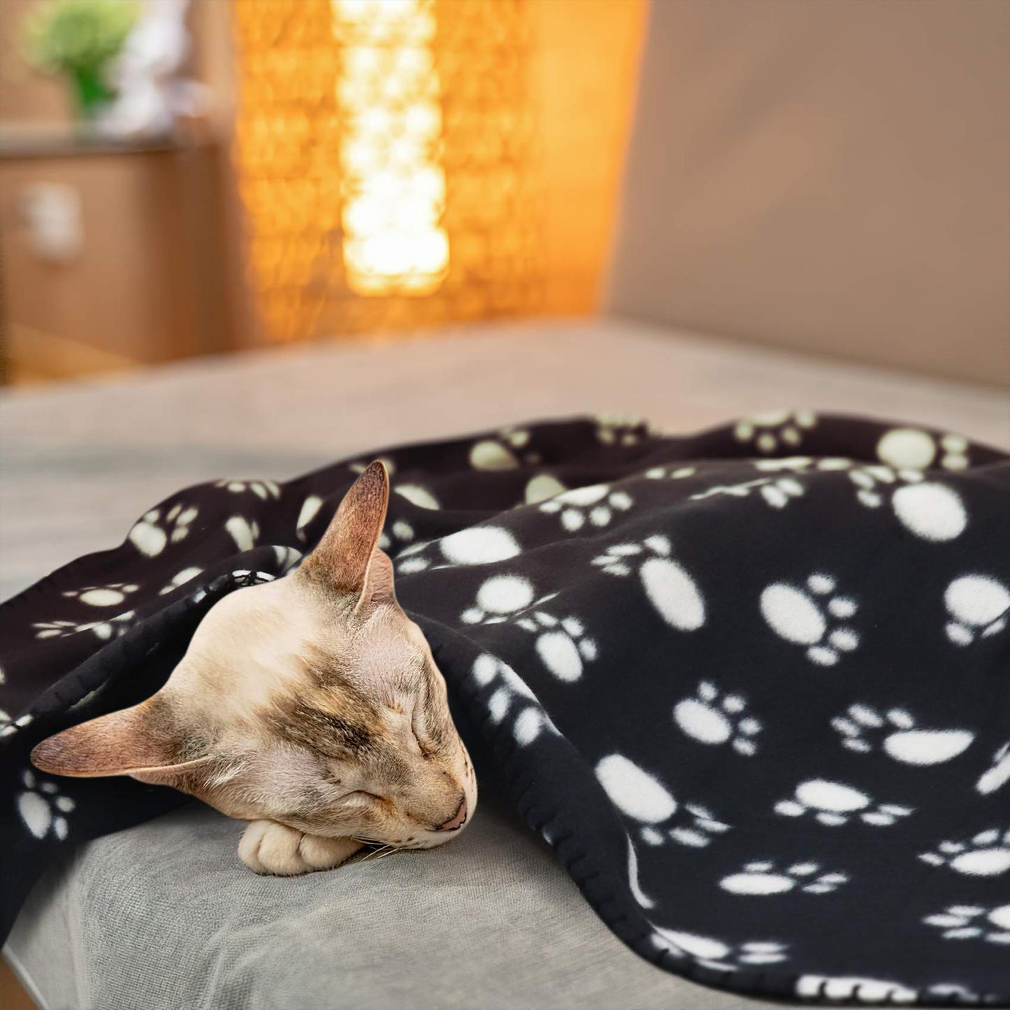 Personalized Warm Pet Blanket for Comfort & Unique | BKPet40