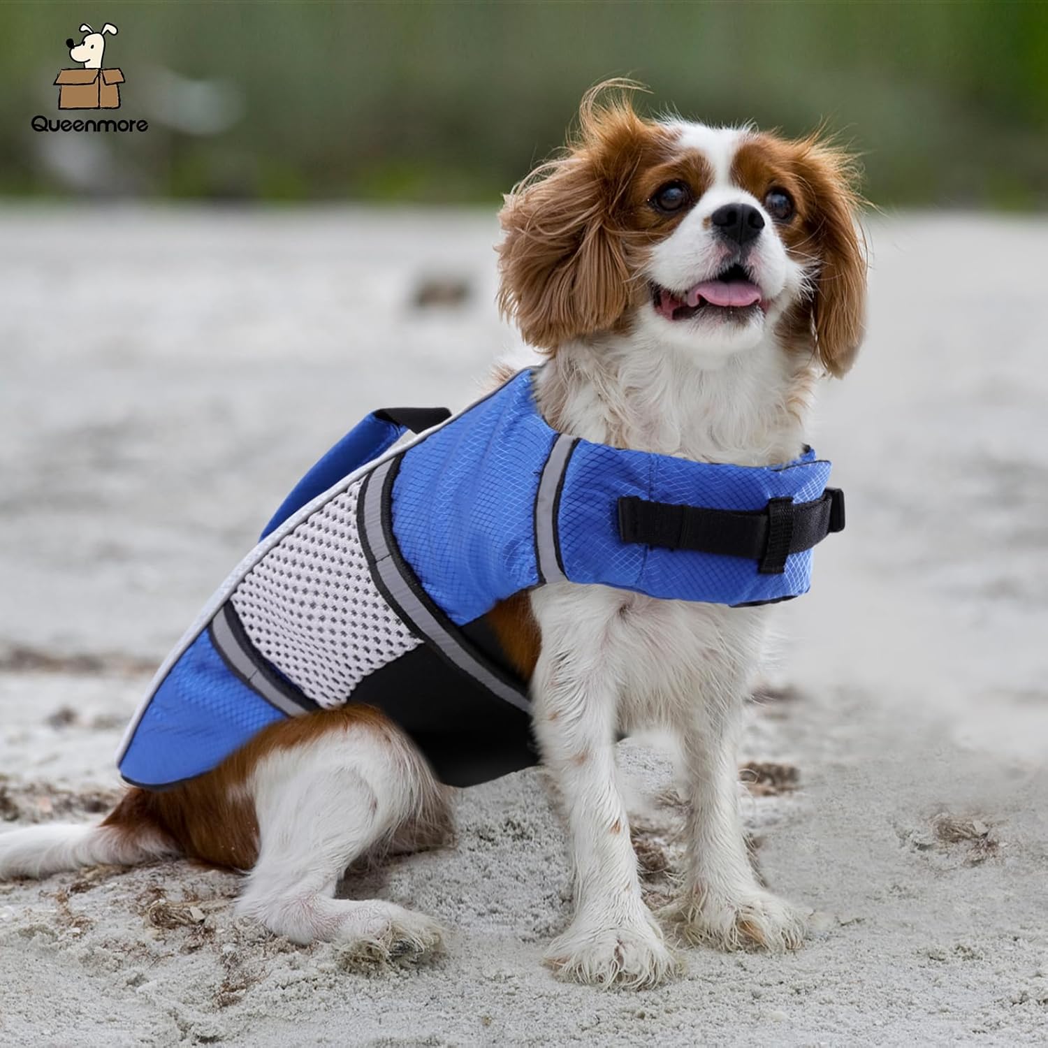 Personalized Pet Swimming Buoyancy Reflective Safety Shark Vest | BKPet406