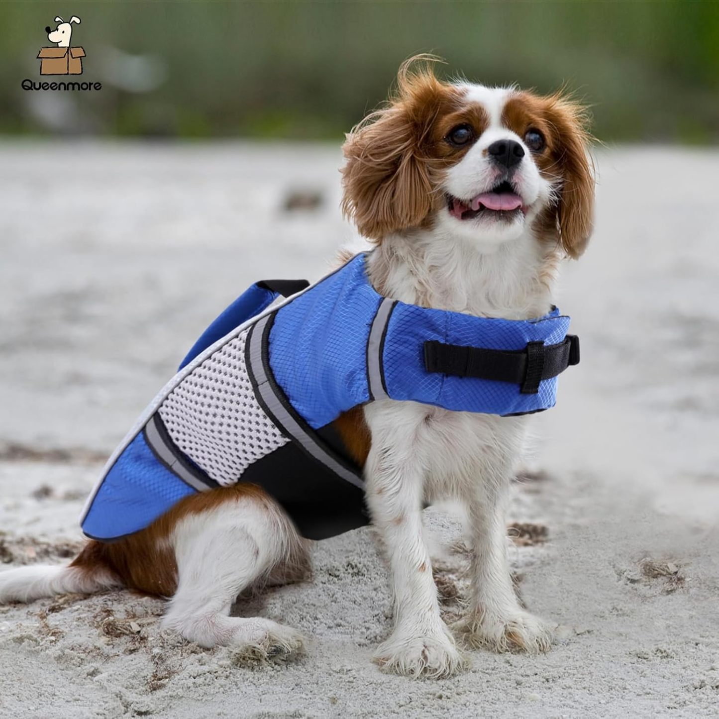 Personalized Pet Swimming Buoyancy Reflective Safety Shark Vest | BKPet406