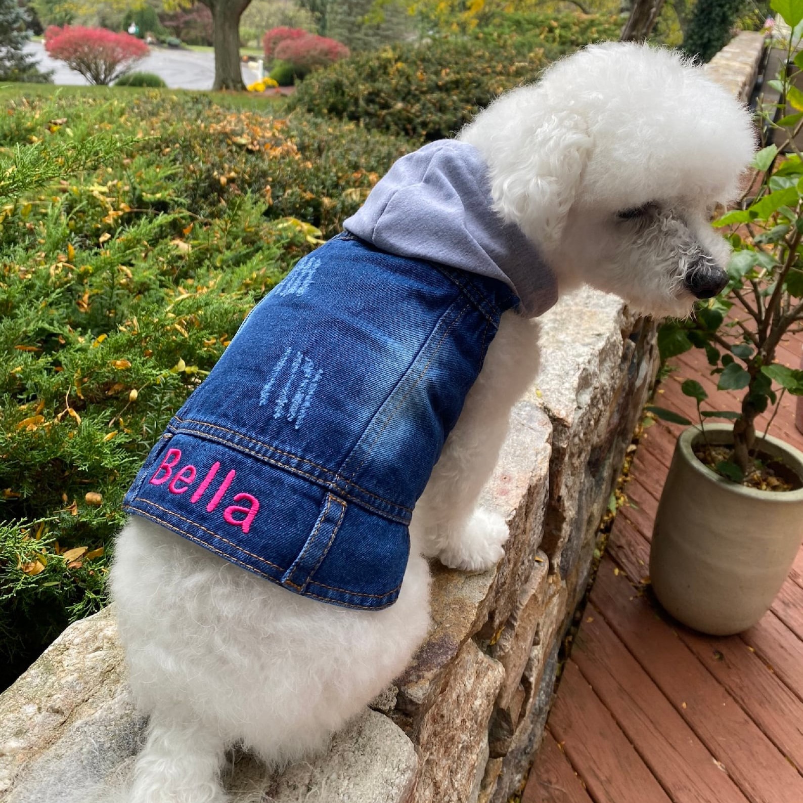 Personalized Embroidered  Pets Denim Jacket | BKPet54