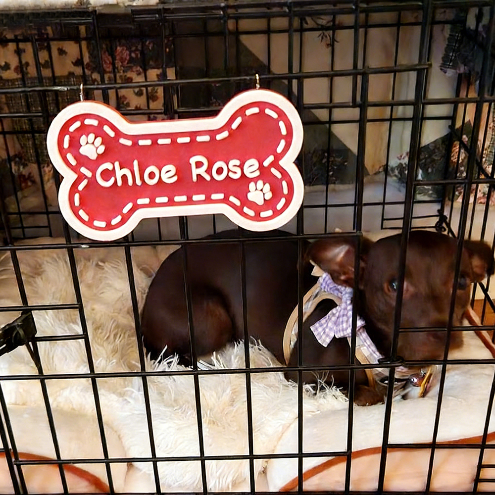 Personalized 3D Printed Dog Name Crate Sign | MNHome77